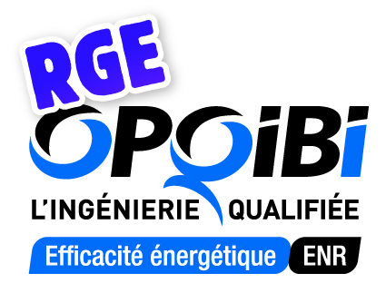 Logo RGE OPQIBI